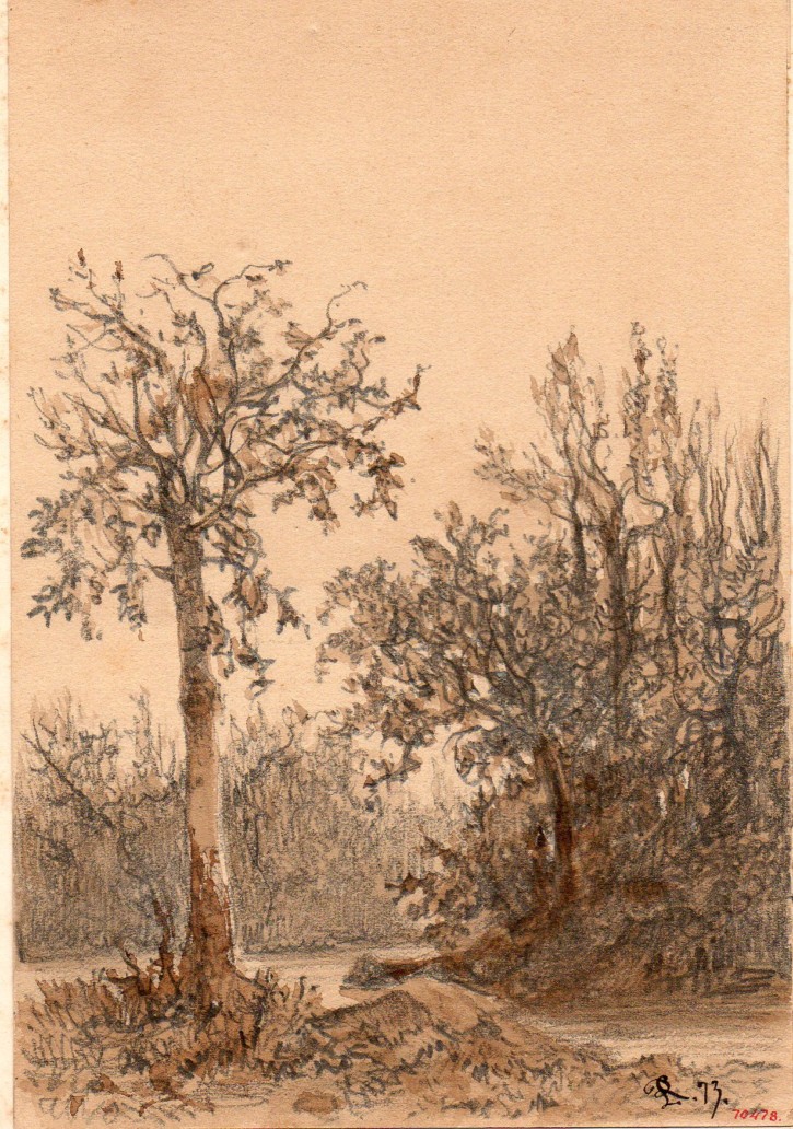 Árboles. Rigalt i Farriols, Lluís. 1873