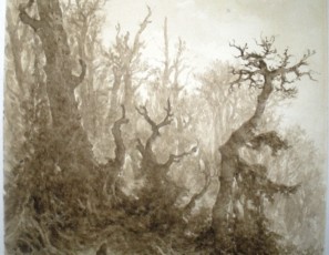 Forest landscape with characters