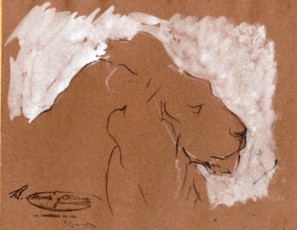 Sketch of a lion’s hed on profile