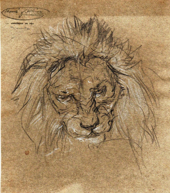 Sketch of a lion head. Martí Alsina, Ramón (1826-1894). Circa 1862