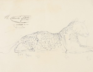 Sketch of a laying leopard