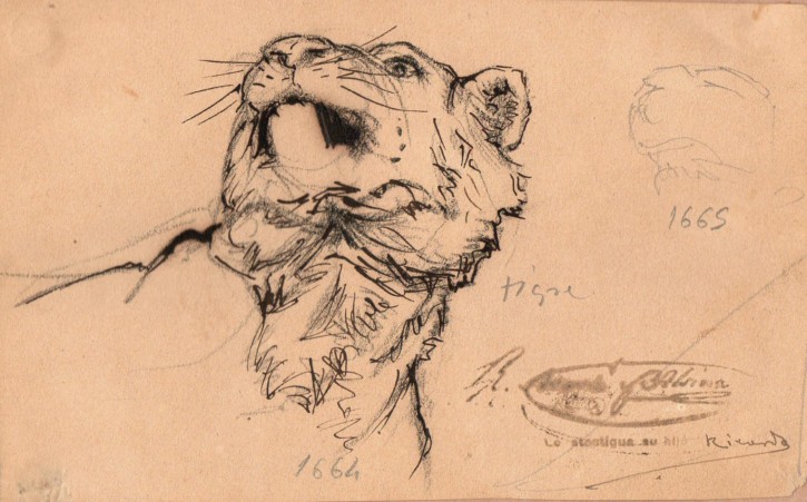 Cabeza de tigre. Martí Alsina, Ramón. Circa 1862
