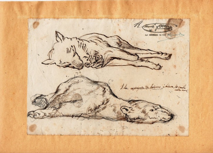 Apuntes de lobo y oso. Martí Alsina, Ramón (1826-1894). Circa 1862. Precio: 500€