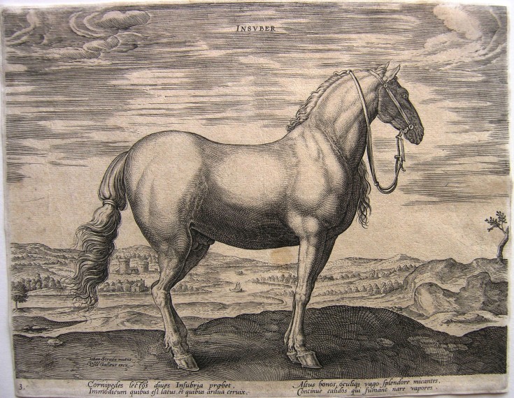 Caballo. Stradanus, Joannes - Galle, Phillipe. 1580