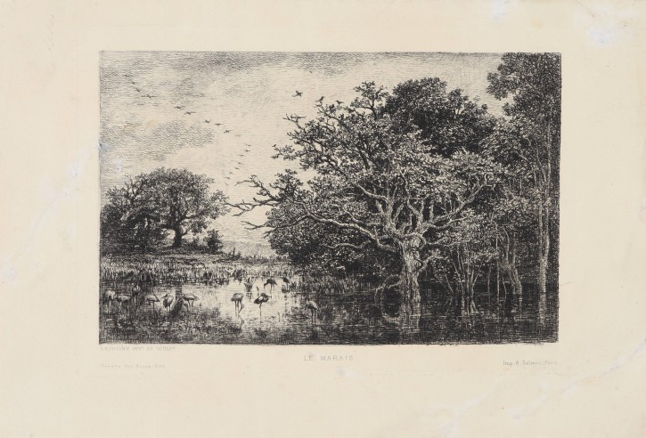 El pantano. Daubigni, Charles François (1817-1878) - Salmon. Finales siglo XIX. Precio: 250€