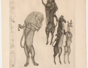 León, toro, zebra y antílope