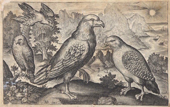 Eagles and owls. Bruyn, Nicolaes (1571-1626). . Precio: 400 (2)€