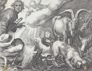 Sheep and shepherds