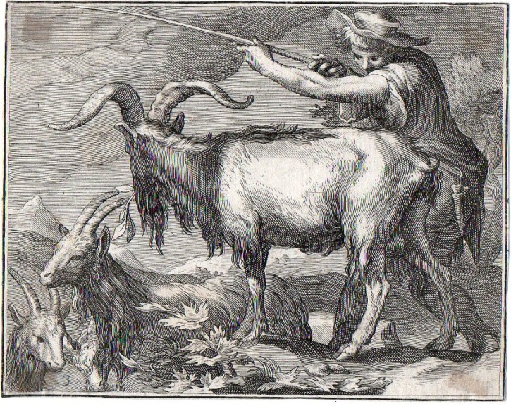 Ovejas y pastores. Bloemaert, Abraham. Primer cuarto siglo XVII. Precio: 200 (1)€