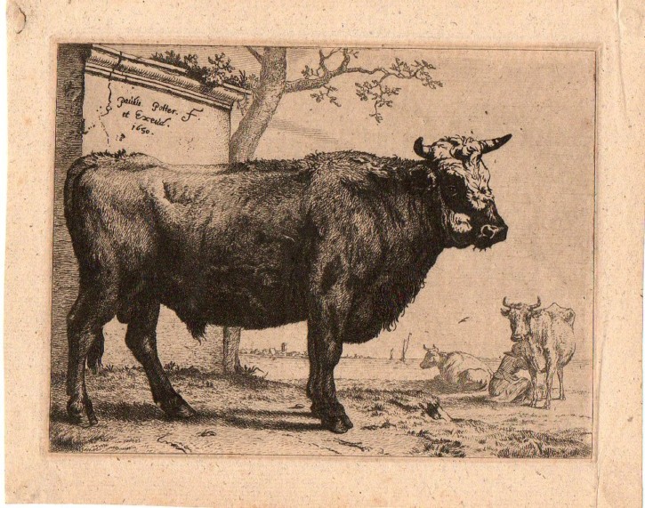 Serie de ocho vacas y toros. Potter, Paulus (1625-1654). 1650