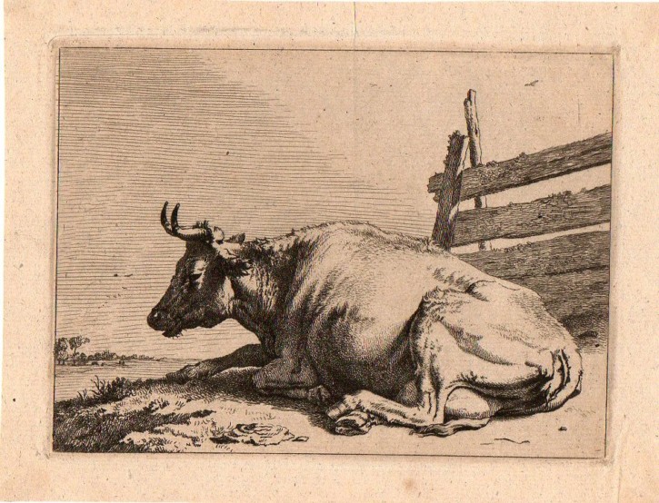 Serie de ocho vacas y toros. Potter, Paulus. 1650