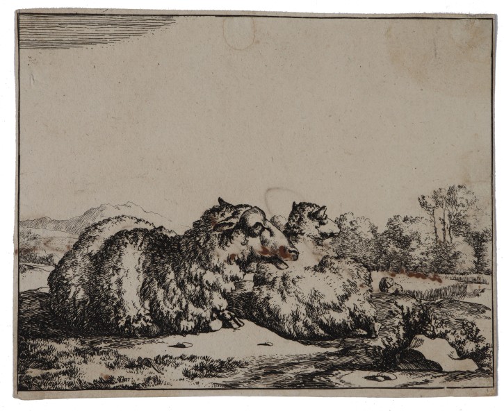 Ovejas y vacas. Bye, Marcus de (1639-1688) - Visscher, Nicolaes (1618-1679). 1664. Precio: 900€