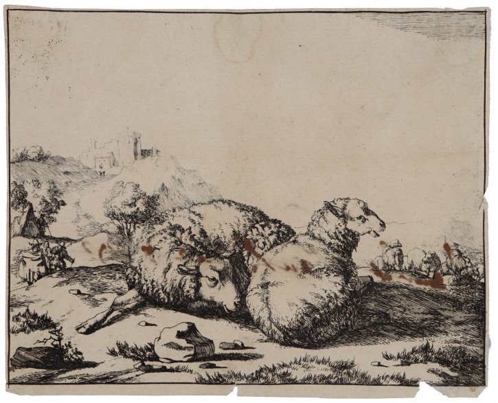 Ovejas y vacas. Bye, Marcus de (1639-1688) - Visscher, Nicolaes (1618-1679). 1664. Precio: 900€