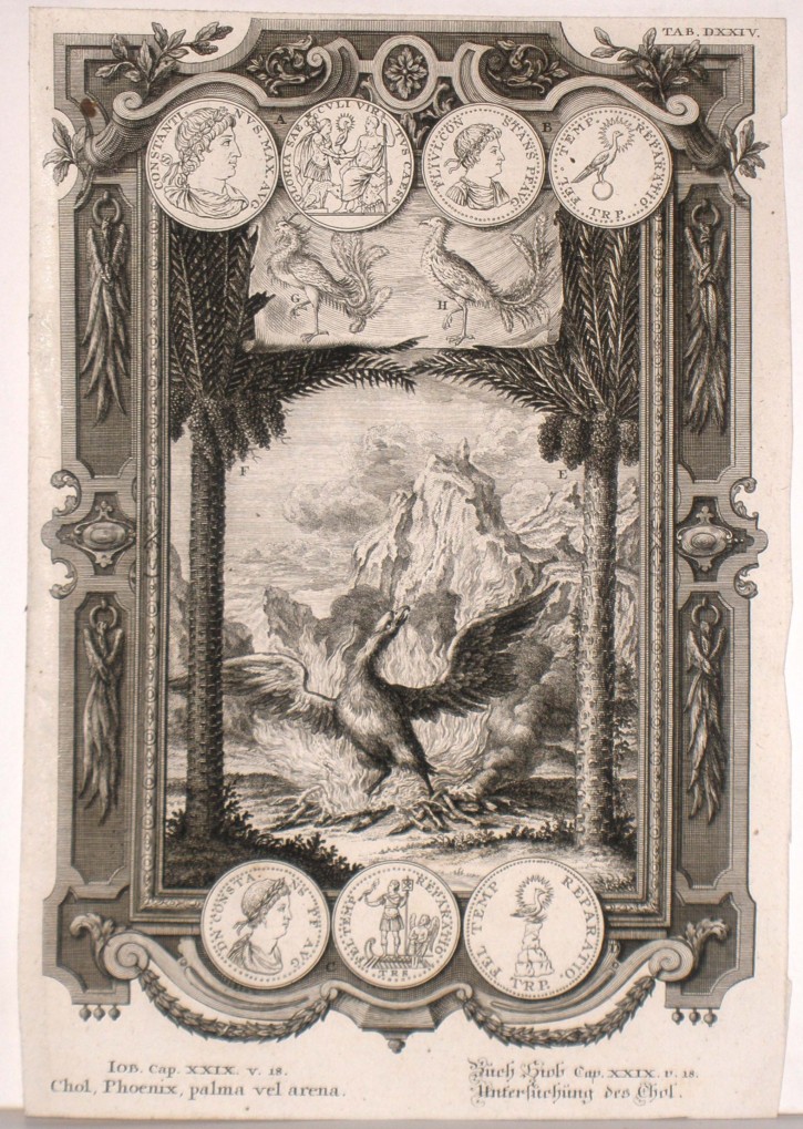 Ave Fénix. Pfeffel, Johann Andreas. 1731-1735