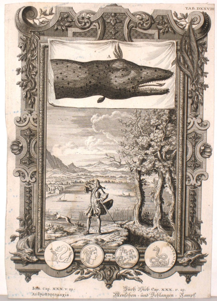 Dragón. Pfeffel, Johann Andreas. 1731-1735