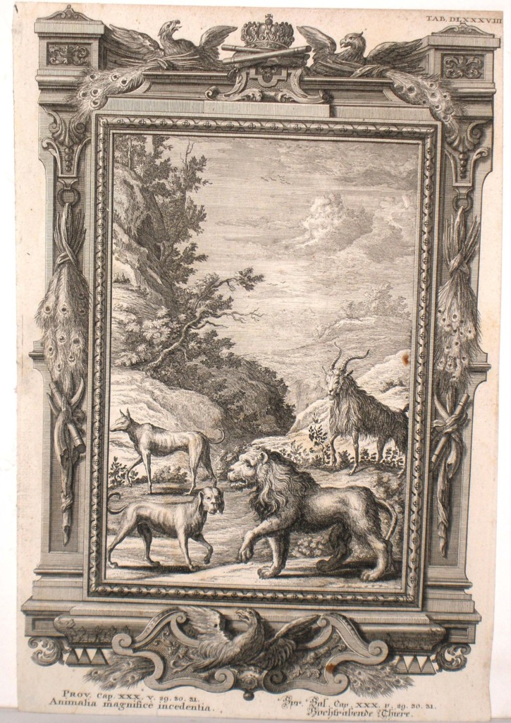 Several animals. Pfeffel, Johann Andreas (1674-1748). 1731-1735