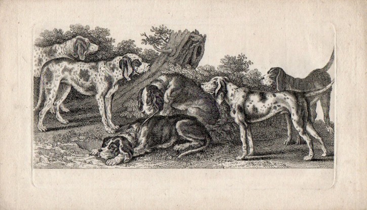 Hunting dogs. Roberts, Henry. Circa 1740. Precio: 800 (6)€