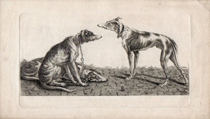 Perros de caza. Roberts, Henry. Circa 1740. Precio: 800 (6)€