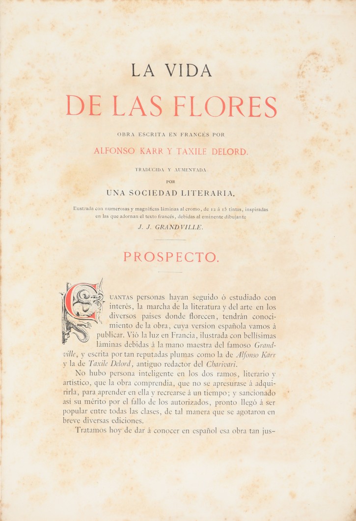 Flower's Life. Simón, J. - Verdaguer, Celestino. . Precio: 100 (1)€