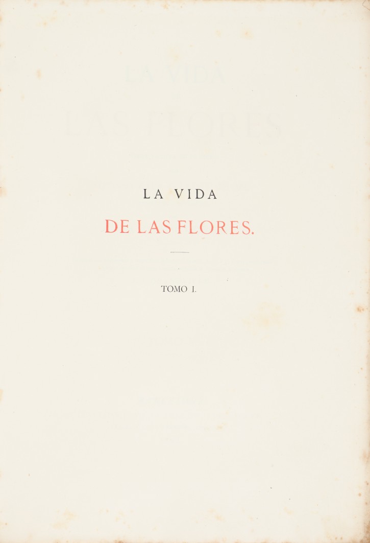 Flower's Life. Simón, J. - Verdaguer, Celestino. . Precio: 100 (1)€