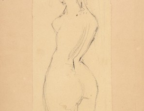 Erotic sketch. Woman showing her back