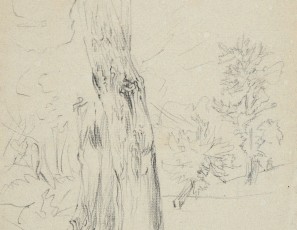 Landscape with a tree