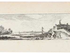 Panoramic landscape