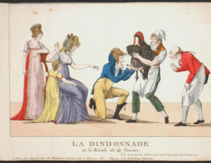 La Dindonnade or the rival of vaccine