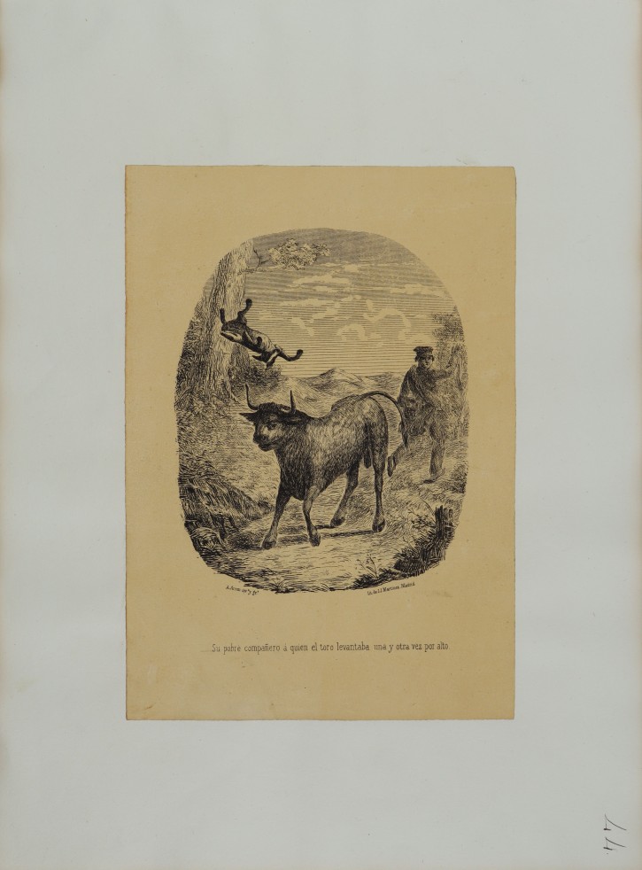 ...Su pobre compañero á quien el toro levantaba una y otra vez por alto.. Arron, A. - Martínez, J. J.. Ca. 1850. Precio: 100€