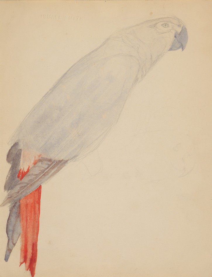 Parrot. Smith, Ismael (1886-1972). Ca. 1910-1913. Precio: 600€