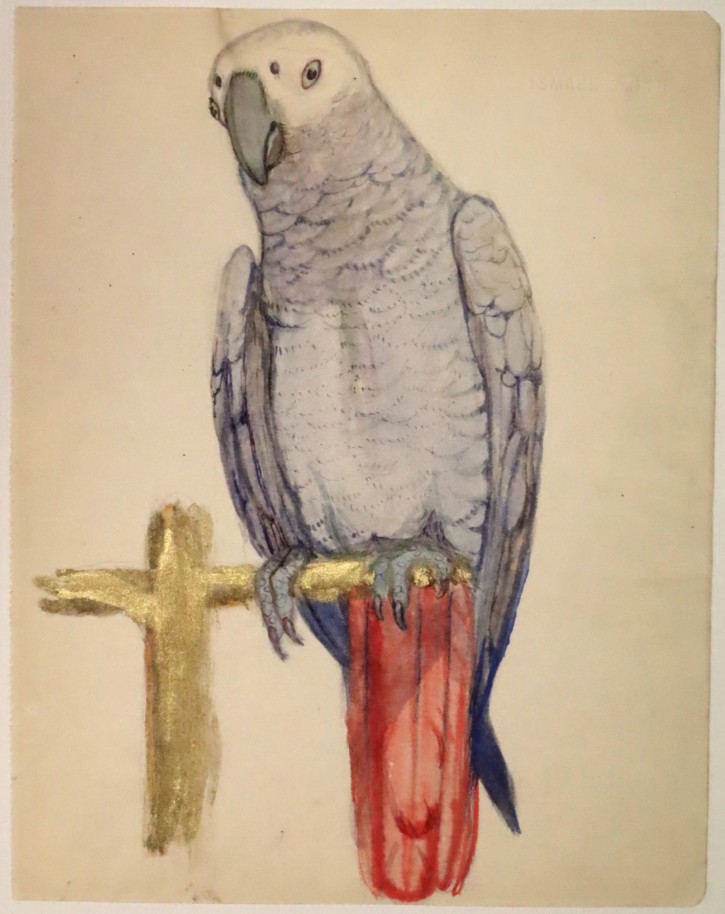 Parrot. Smith, Ismael. Ca. 1910-1913