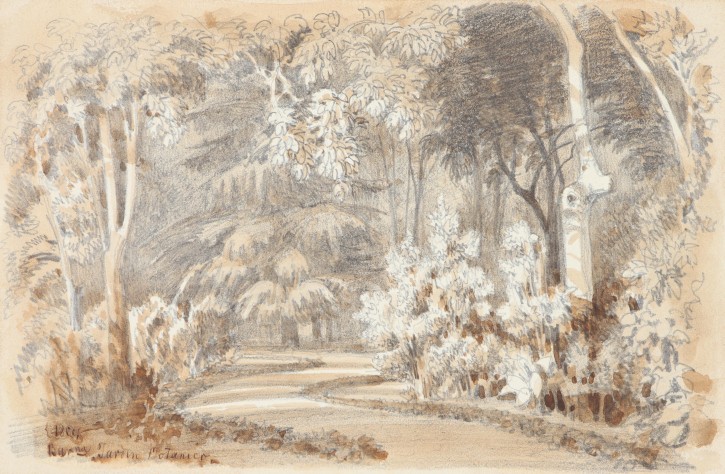 Botanical Garden. Rigalt i Farriols, Lluís (1814-1894). 1884. Precio: 600€