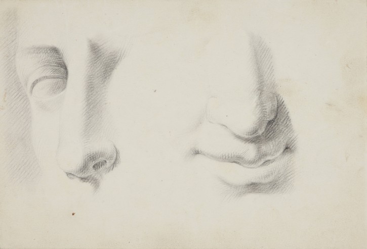 Study of eyes, noses and mouths. . . Precio: 250€