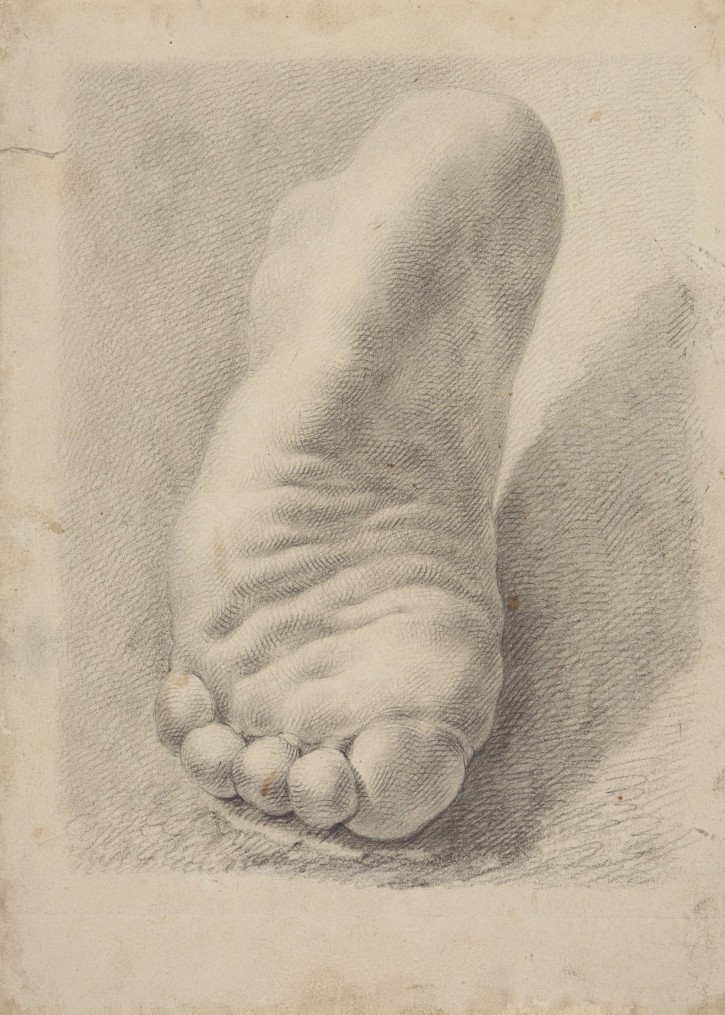 Foot sole study. . . Precio: 300€