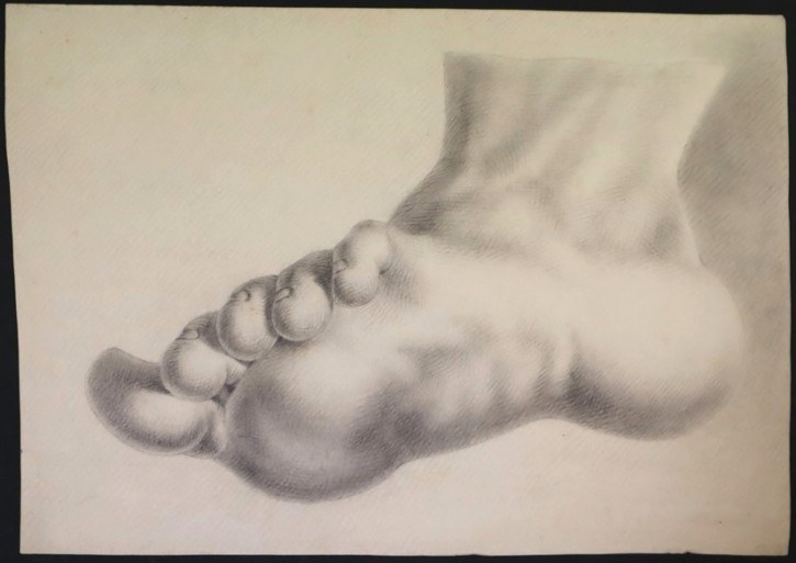 Estudio de pie desde abajo. Anónimo. Mediados siglo XIX. Precio: 300€