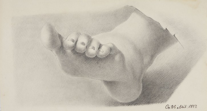 Foot study. Rodríguez, Emilio. . Precio: 400€