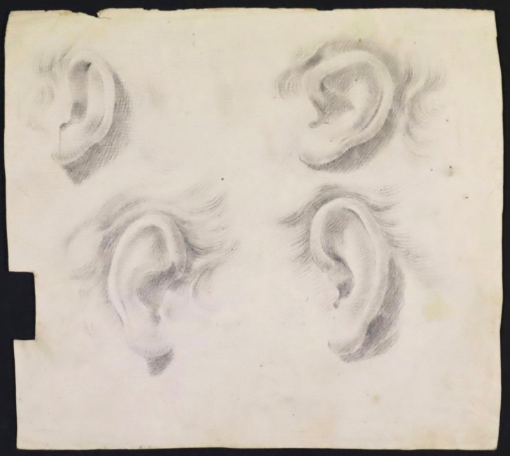 Estudio de cuatro orejas. Anónimo. . Precio: 250€