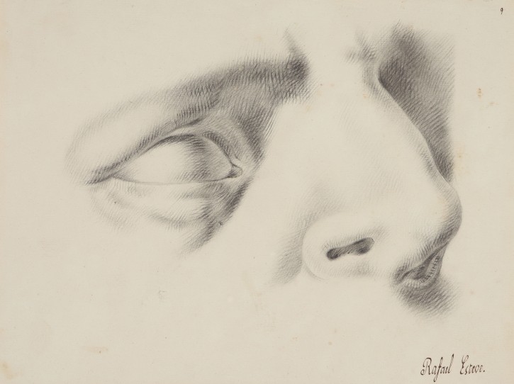 Nose and eye study. Esteve Vilella, Rafael (1772-1847). . Precio: 250€