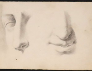 Estudio de ojos, narices y bocas