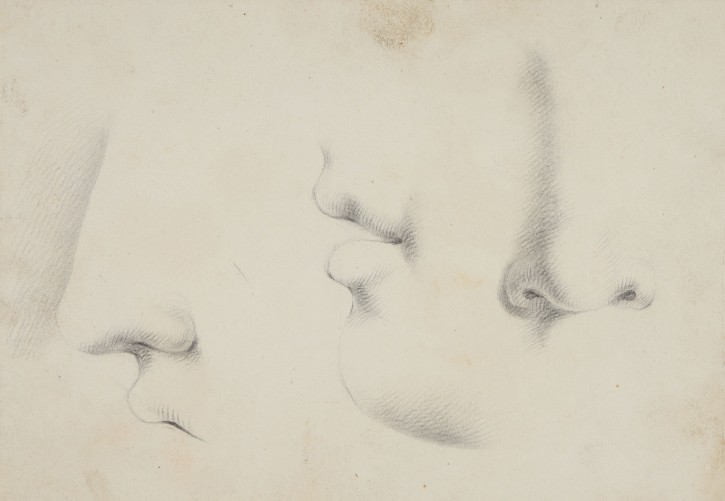 Study of noses and mouths. . . Precio: 250€