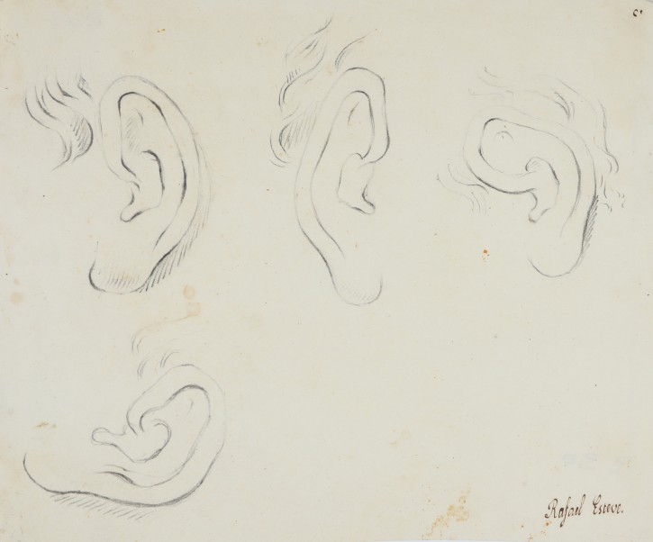 Four ears study. Esteve Vilella, Rafael (1772-1847). Inicios siglo XIX. Precio: 250€