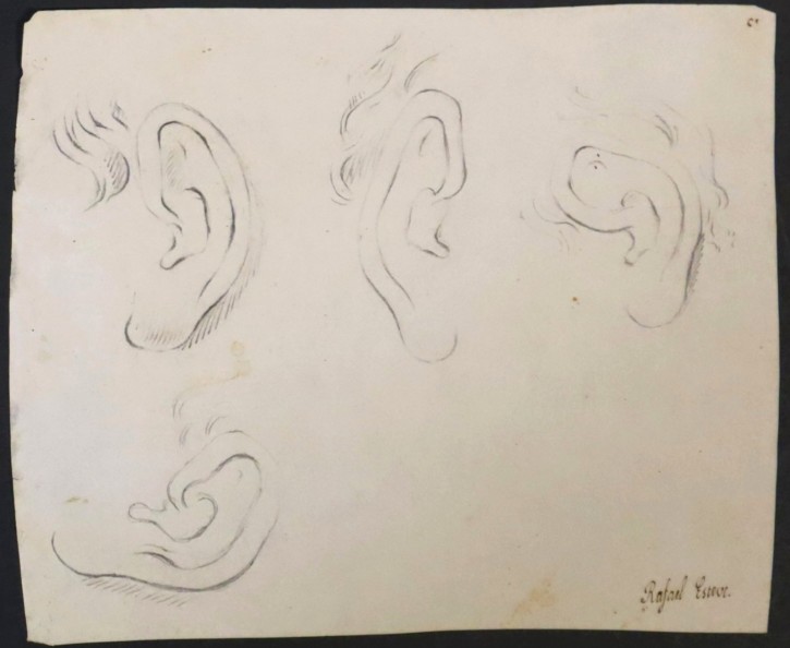 Estudio de cuatro orejas. Esteve Vilella, Rafael. Inicios siglo XIX. Precio: 250€