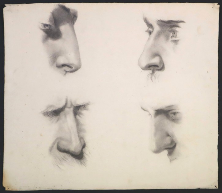 Estudios de cuatro narices y ojos. Anónimo. 