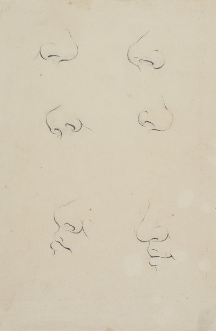 Six noses studies. . . Precio: 250€