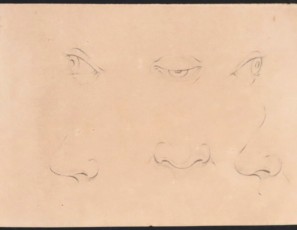 Estudios de tres ojos y tres narices