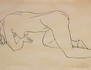 Desnudo femenino estirado de espaldas
