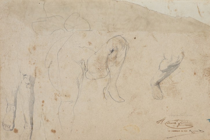 Study of legs and sex of a stretched woman. Martí Alsina, Ramón (1826-1894). Ca. 1870. Precio: 1200€