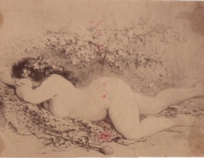 Mujer desnuda en bosque