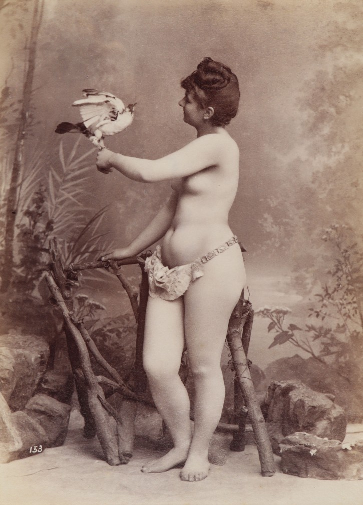 Nude woman with bird. . Ca. 1880. Precio: 100€