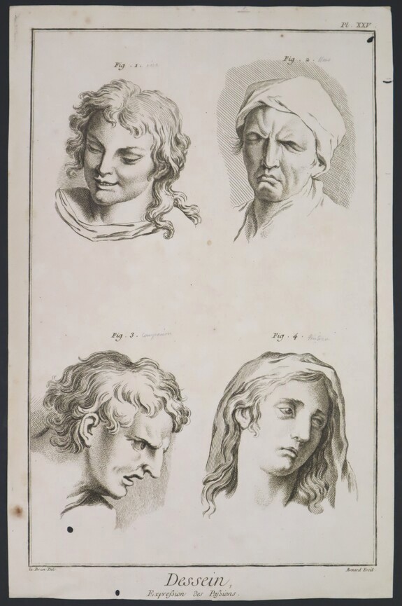 Estudio de caras y expresiones. Picart, Bernard - Le Brun, Charles. Ca. 1734. Precio: 150€